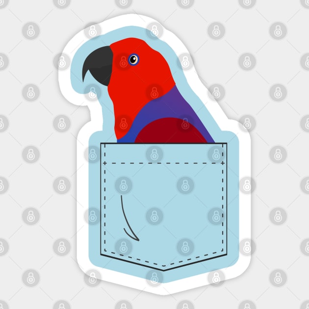 Eclectus Parrot Female In Your Front Pocket Sticker by Einstein Parrot